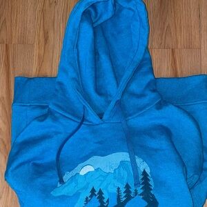 “The North Face” Blue Graphic Hoodie